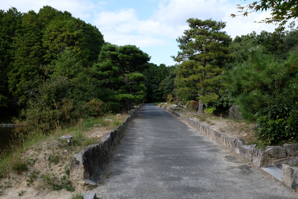 成務天皇陵小道