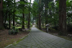 梅雨　剱神社参道