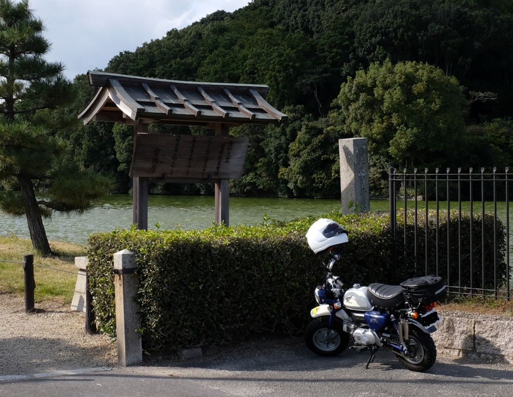 今日は寒い　垂仁天皇陵