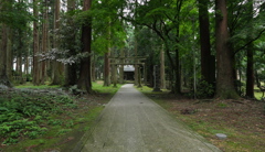 梅雨　剱神社猿田彦さん