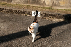 逃げんじゃ　ねーぞ。