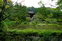 円成寺　山門