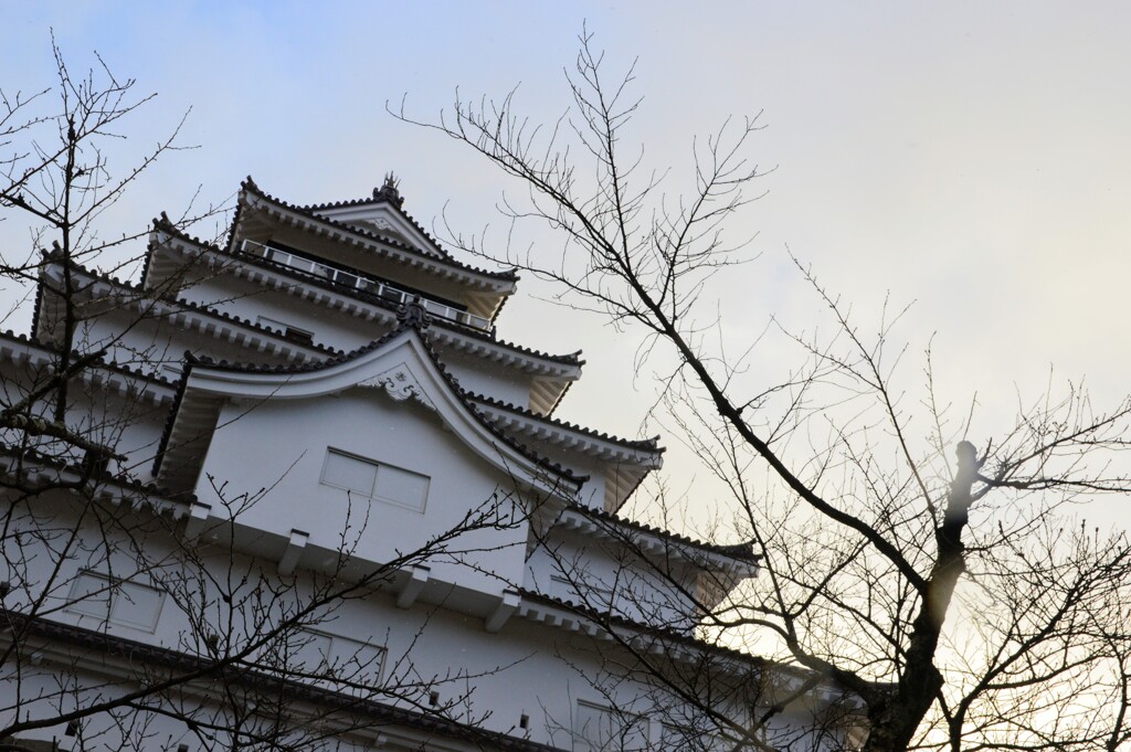 雪のない鶴ケ城