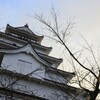 雪のない鶴ケ城