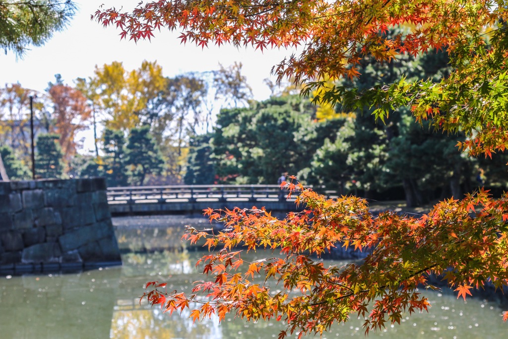 二条城西橋
