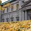 大阪街風景 日本銀行