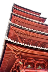 緋色の飛翔