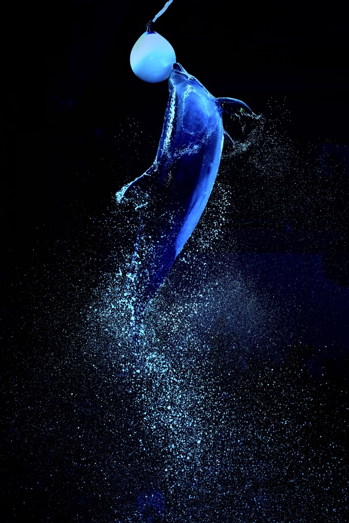 トップにタッチ