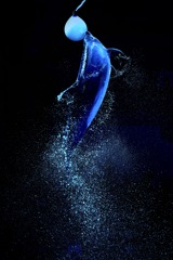 トップにタッチ