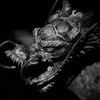 手水舎の龍口