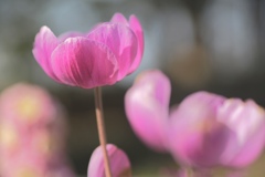晴れ間にて