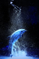 ダブルジャンプ