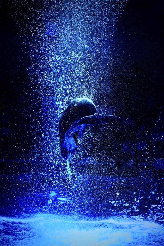 しぶきの向こうへ