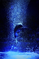 しぶきの向こうへ