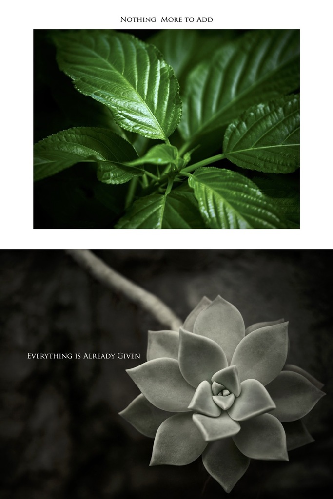 Everything is Already Given（組み写真）