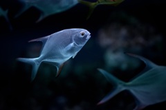 静けさに身を委ねる