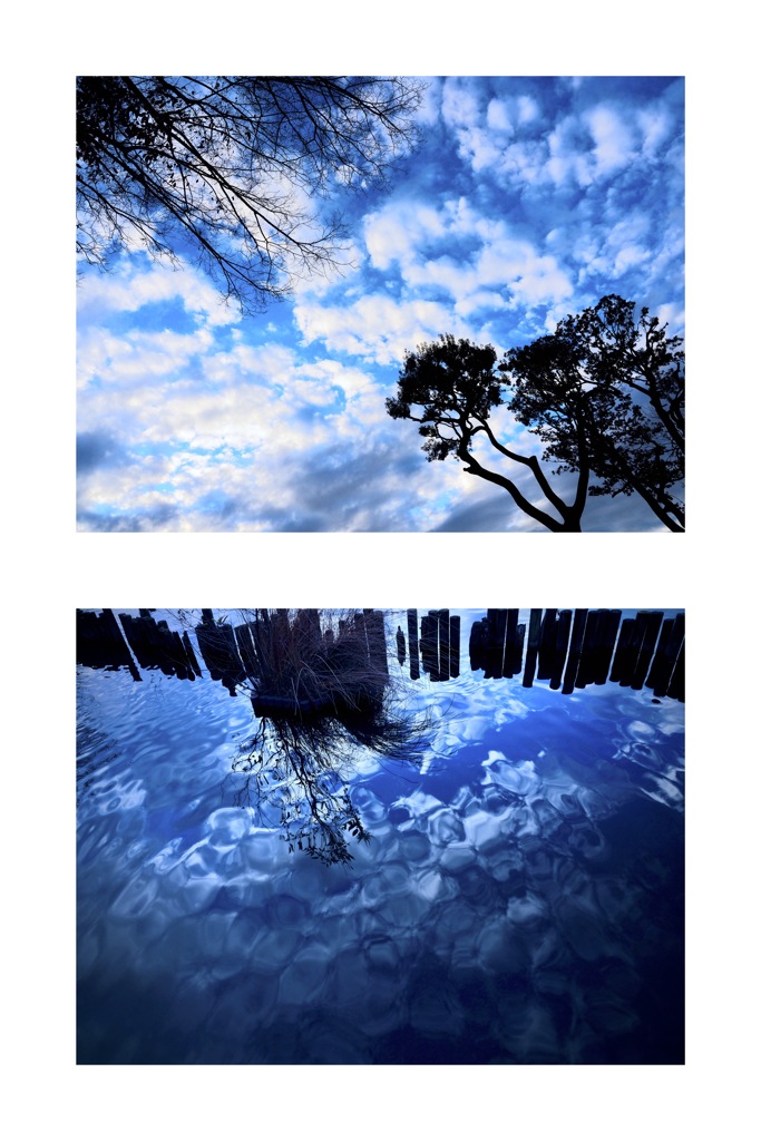 見上げる空／見下ろす空（組み写真）