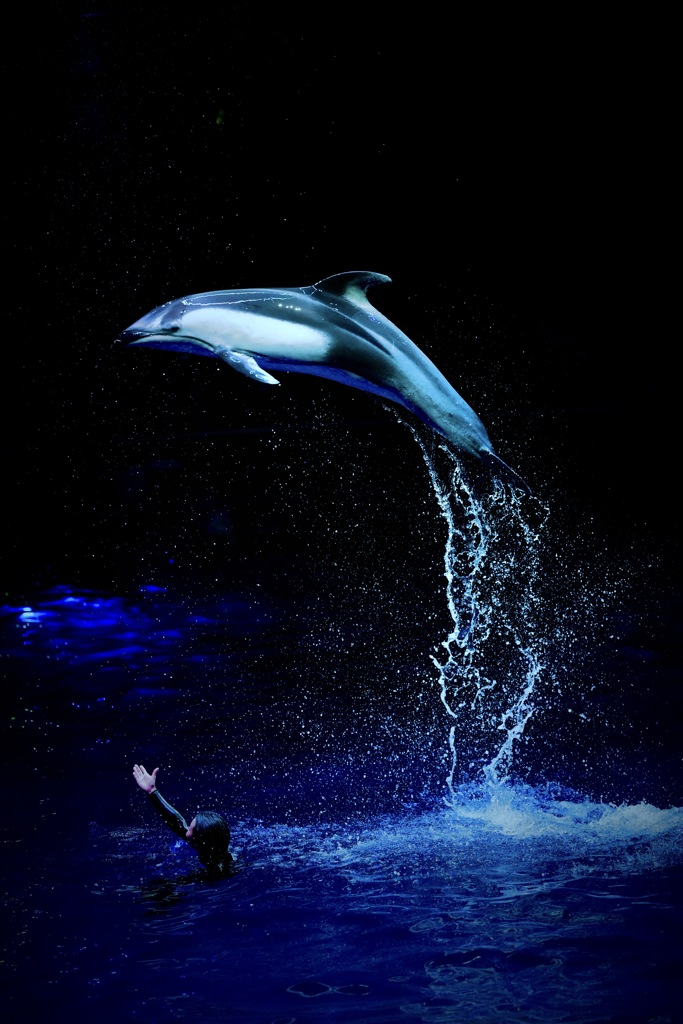 飛翔アーチを描く