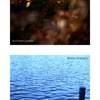 紅葉／水面（組み写真）