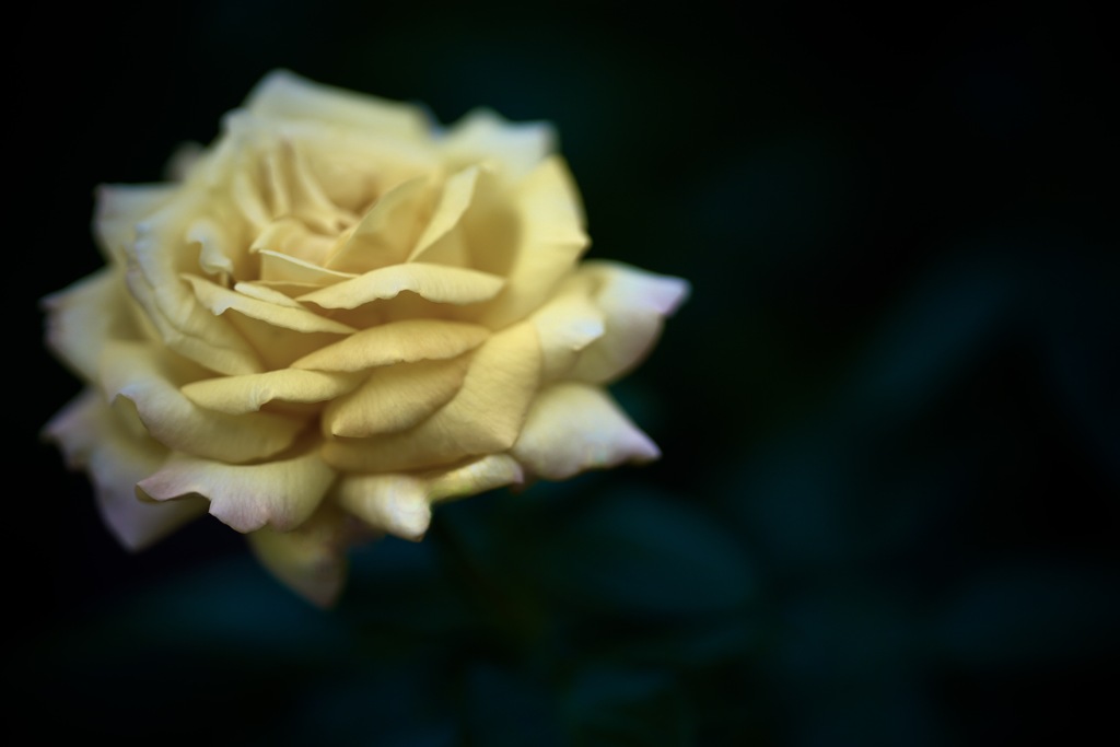 静けさ溶けゆく