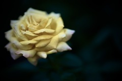 静けさ溶けゆく