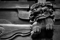 梁に住まう獅子