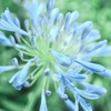 蒼き夏の到来