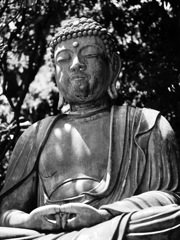 不動の慈悲