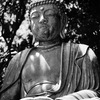 不動の慈悲