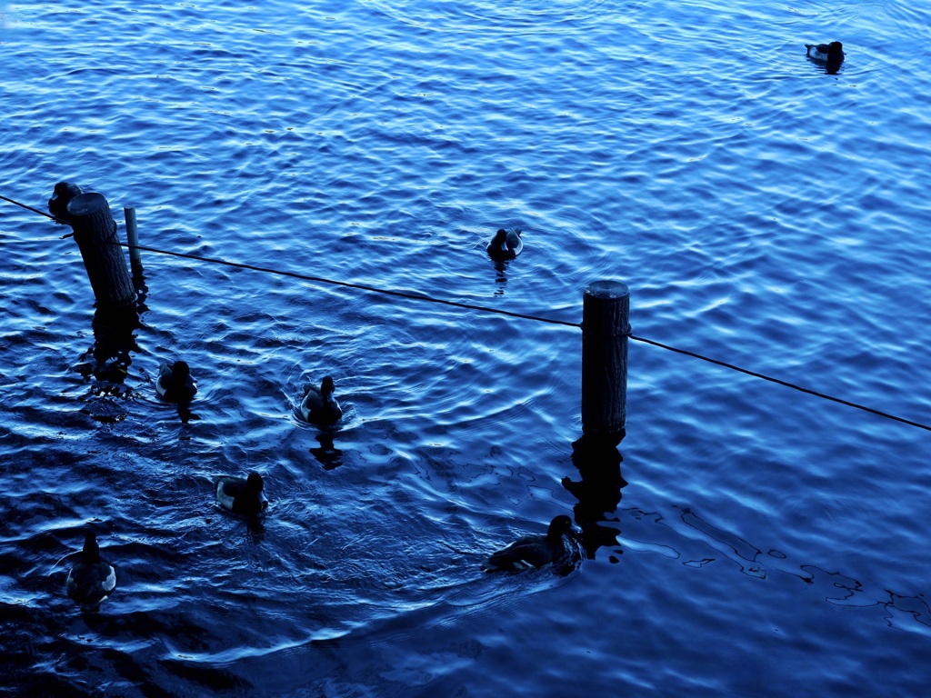 水面