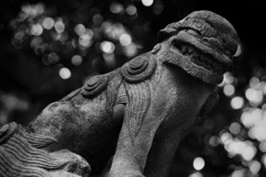 咆哮の谺（こだま）