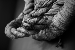 守護者のつま先