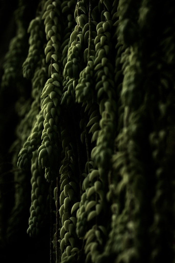 静寂のクラスター