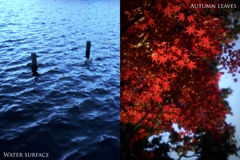 水面／紅葉（組み写真＋ソフトフィルター）