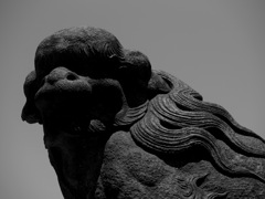 黒影の守護者