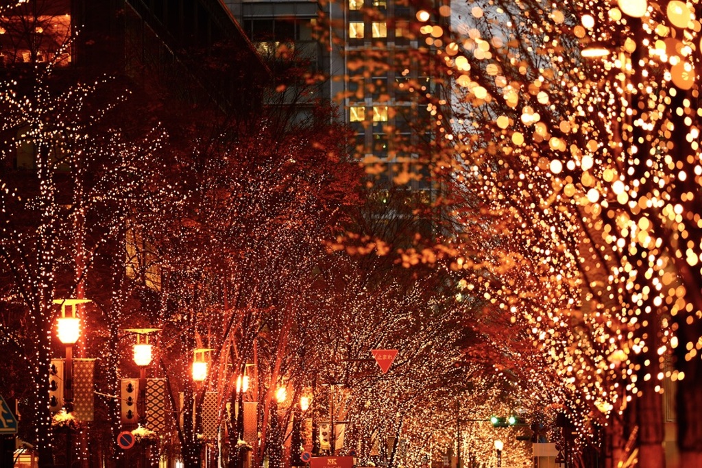 散りばめられた光