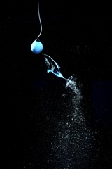 空中ランデブー