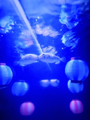 ハリセンボン