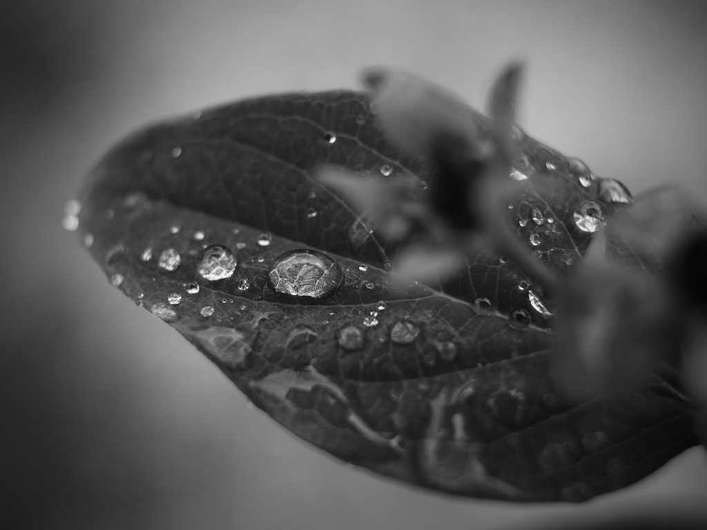水滴