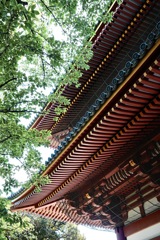 垂木にグラデーション