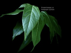 新宿御苑の植物