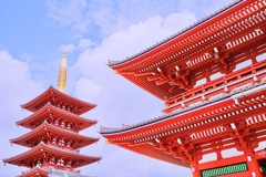 紅の覆い