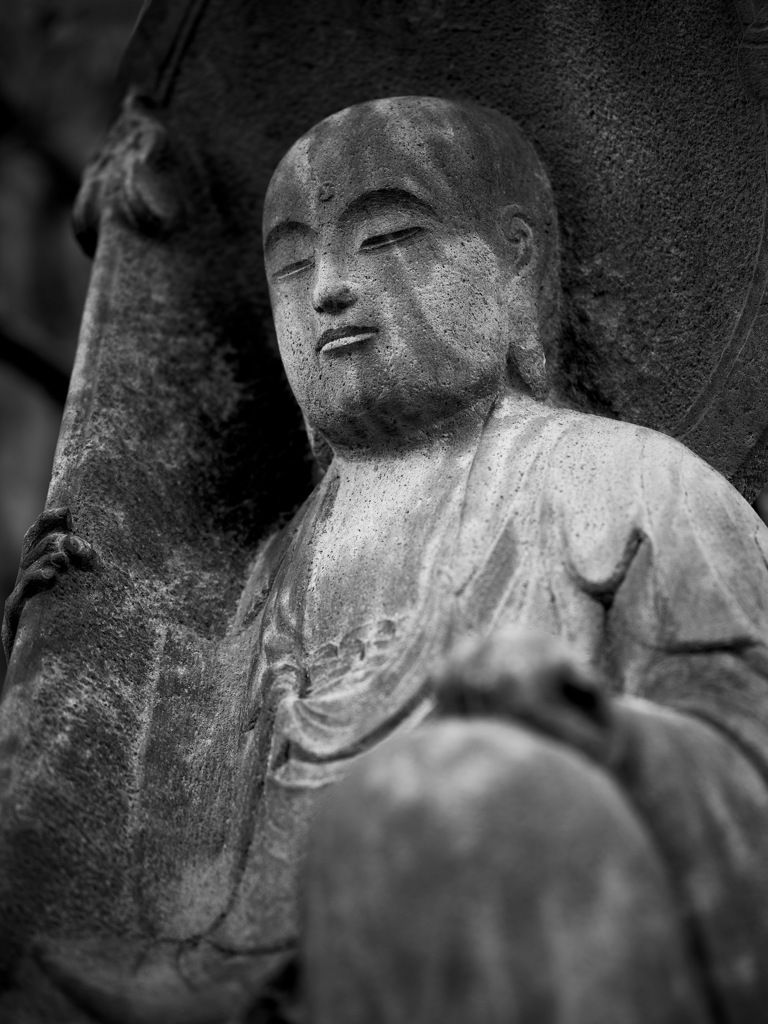 傷みが語る輪廻の証