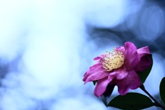 冬空に向かって