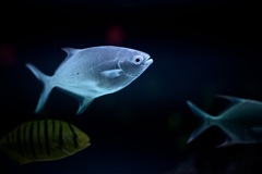 何か見つけた？