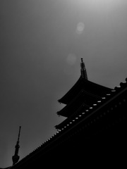 タワーの邂逅
