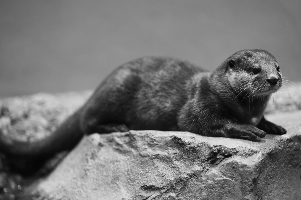 落ち着く場所で