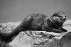 落ち着く場所で