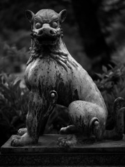 逃さぬ眼光