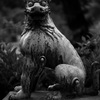 逃さぬ眼光